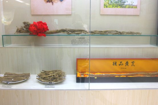 H:\中医药中心事务\中心报道\2018年8月起\20181211中医药博物馆参观\2018中医药中心师生参观博物馆\QQ图片20181212151458.jpg