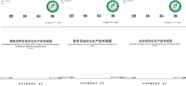 团体标准图片.jpg